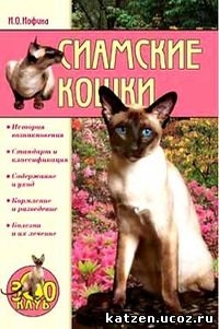 Сиамская кошка