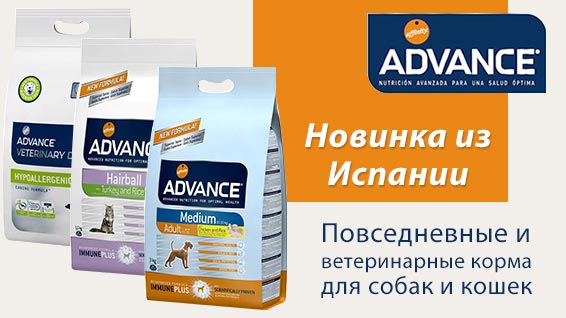 Advance - это бренд кормов для кошек, который производится компанией Affinity Petcare S. A. из Испании. Эта компания известна как производитель полноценного питания для домашних животных