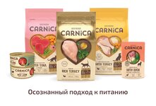 Корм для кошек Carnica включает в себя разнообразные продукты,такие как сухое и влажное питание,лакомства и диетические продукты. и содержит высококачественные ингредиенты,включая мясо,овощи,фрукты и полезные добавки для здоровья и благополучия кошки