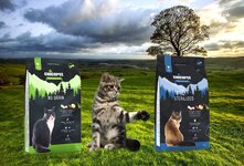 Корм для кошек Chicopee - это 100% беззерновой продукт со сбалансированным содержанием белков и жиров. Изготовлен только из свежего бескостного мяса, с добавлением овощей и фруктов, без использования гормонов и субпродуктов