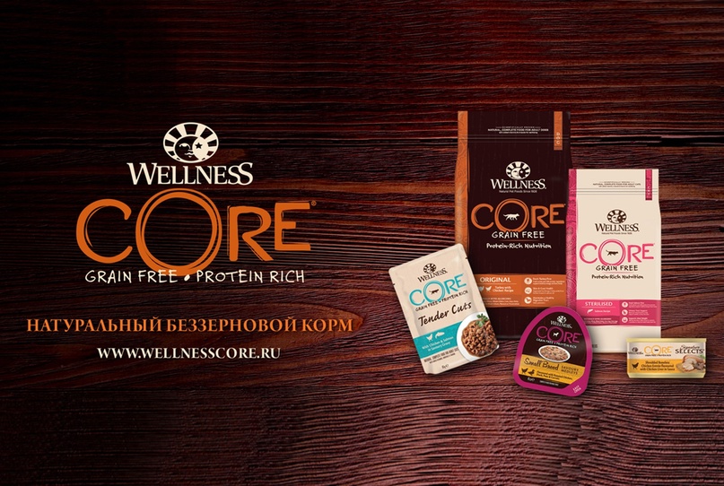 Корм для кошек Wellness Core — это высококачественный натуральный продукт, который производится из свежих цельных ингредиентов, обеспечивая кошек всеми необходимыми питательными веществами. При производстве корма используется минимальное количество обработки, что сохраняет его полезные свойства и свежесть.