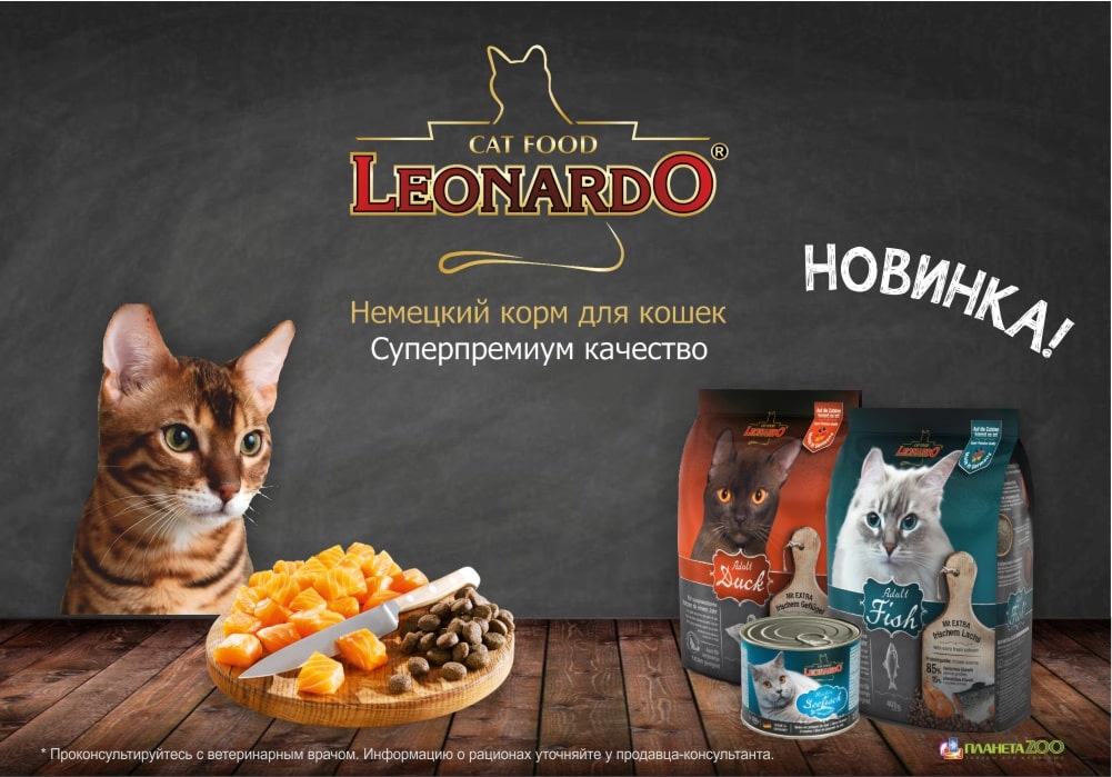 Корм для кошек «Леонардо», который производит немецкая компания Bewital Petfood, заслуженно считается продуктом класса суперпремиум, что подтверждается многочисленными положительными отзывами и оценками в России