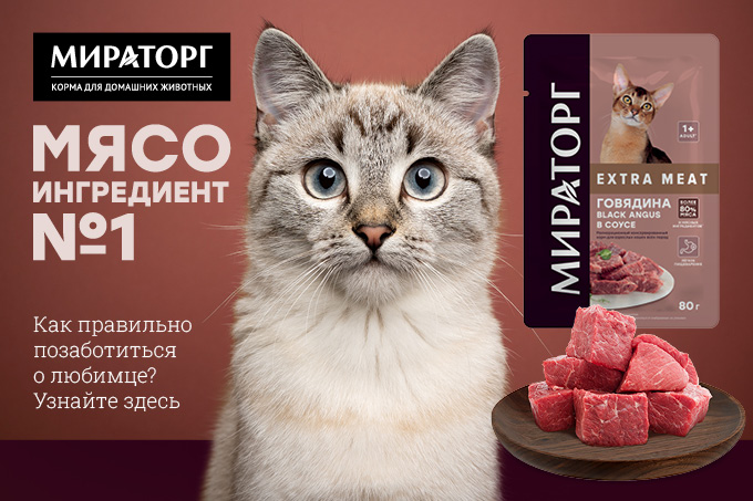 Корм для кошек Мираторг - это высококачественный продукт, на который можно положиться и который обеспечит вашу кошку всем необходимым для здоровья и благополучной жизни