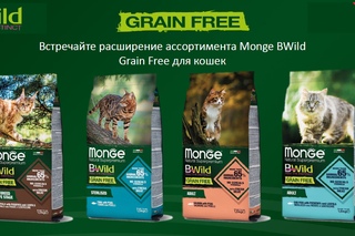 Корм для кошек Монж - это высококачественный продукт, который обеспечит вашего питомца всем необходимым для здорового и счастливого существования
