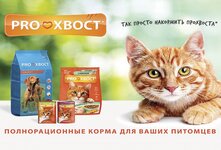 Прохвост - это линейка сухих и влажных кормов для кошек, разработанная российской компанией Власта и предназначены для удовлетворения разнообразных потребностей животных разных возрастов и с разными особенностями