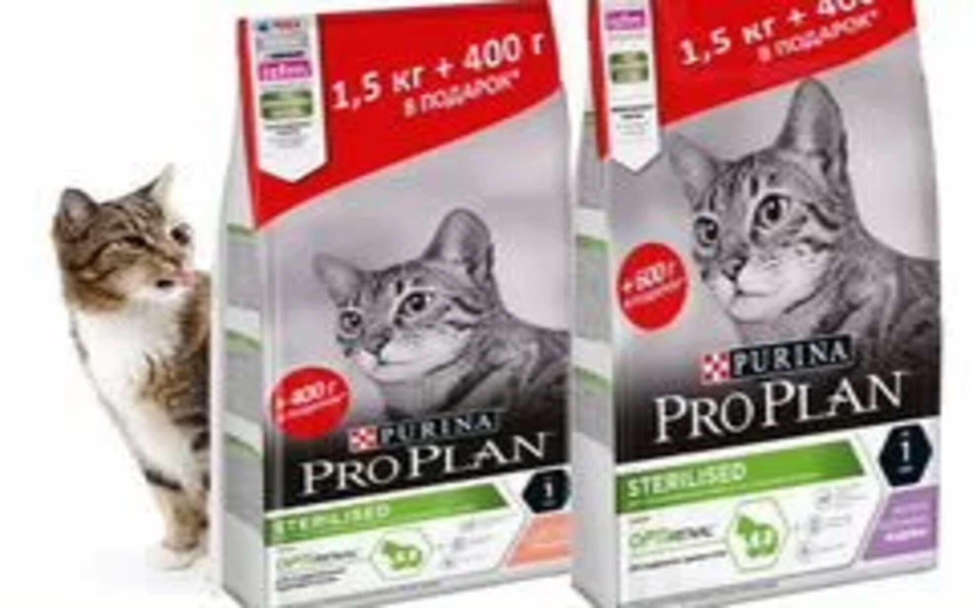 Проплан - это высококачественный сухой корм для кошек, который обеспечивает полноценное и сбалансированное питание вашего любимца.Он содержит все необходимые питательные вещества, витамины и минералы, которые помогают поддерживать здоровье и иммунную систему питомца