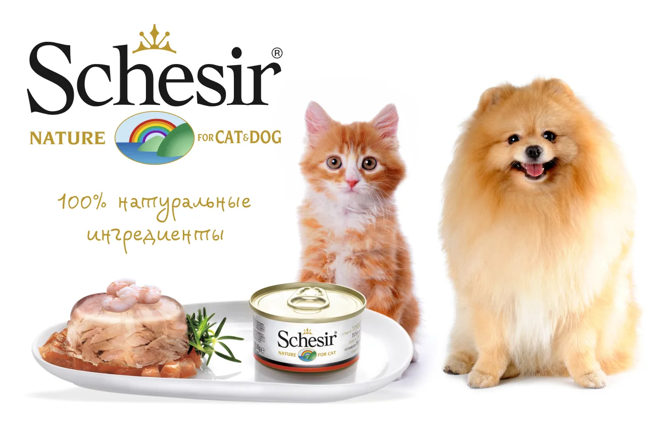 Корм для кошек Schesir – итальянский бренд высококачественных продуктов для животных из натуральных ингредиентов. Рационы содержат оптимальное соотношение белков, жиров и углеводов для здоровья и физической формы питомцев