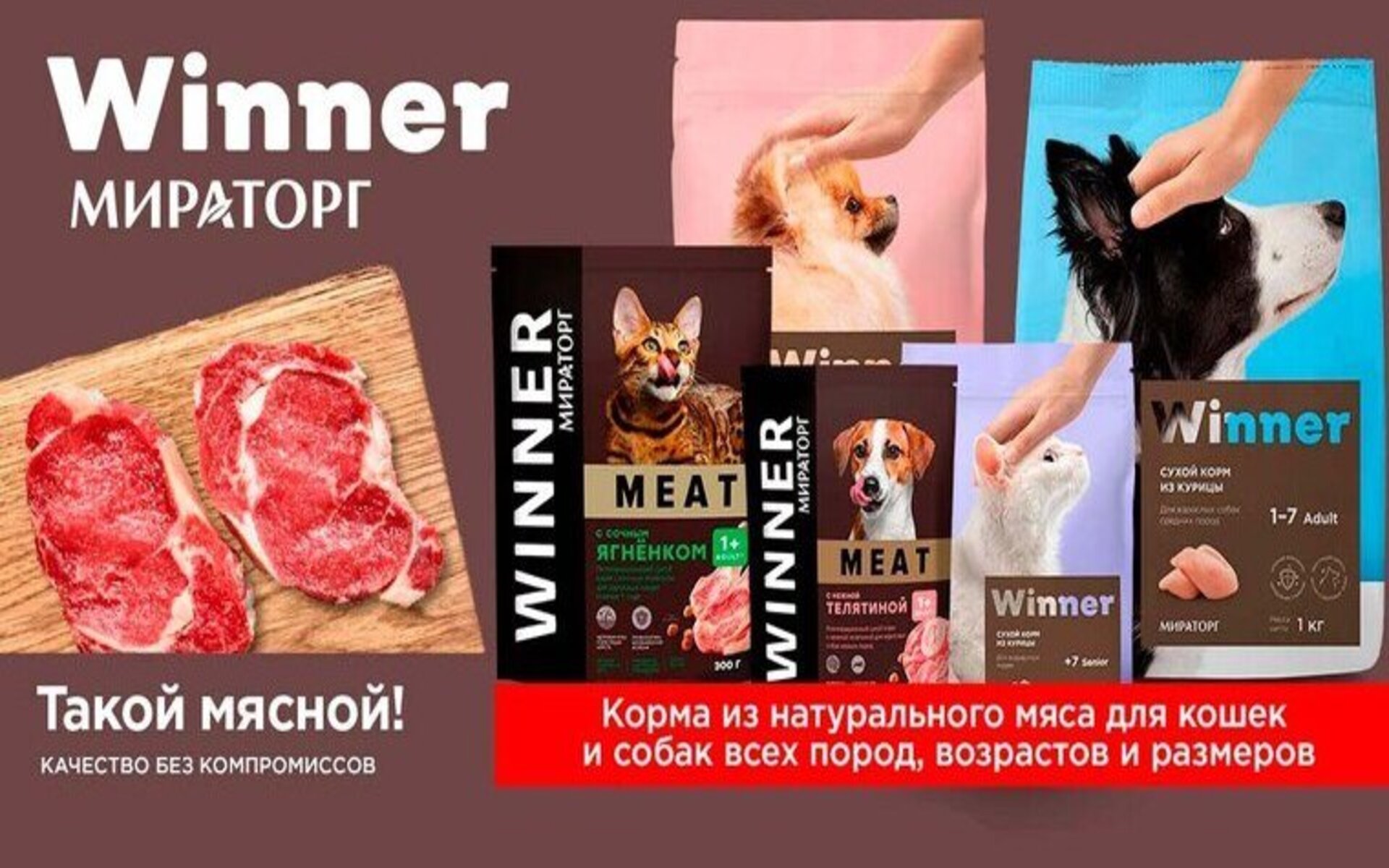 Корм Winner имеет широкий ассортимент, включающий в себя различные вкусы и формы, чтобы удовлетворить потребности и предпочтения каждой кошки