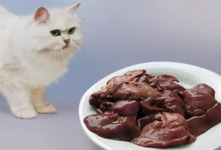 Можно ли кошкам печень? Печень — полезный продукт для кошек, но не стоит делать его основой рациона, заменяя им мясо и другие продукты