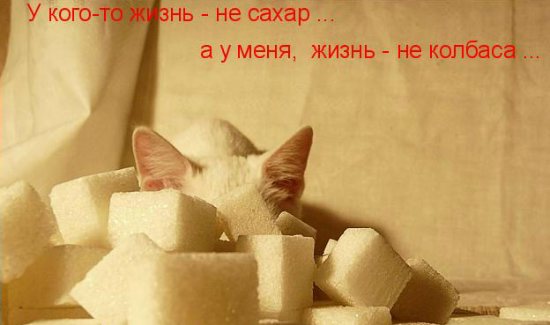 Сахар представляет собой серьезную опасность для здоровья кошек. Его употребление может вызвать ряд опасных последствий, которые негативно сказываются на самочувствии вашего питомца